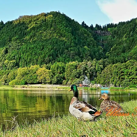 Сasa de vacaciones Casa Do Vale Encantado Furnas (Azores)