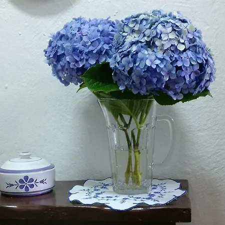 Casa Do Vale Encantado Hébergement de vacances *