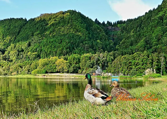 Casa vacanze Casa Do Vale Encantado Furnas (Azores)