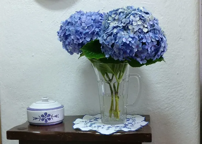 Casa Do Vale Encantado Casa vacanze *